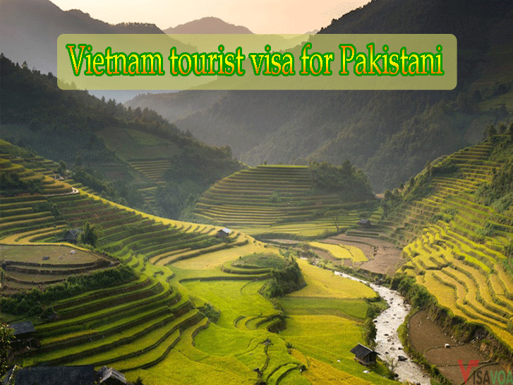 Vietnam tourist visa for Pakistani citizen